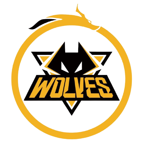 他拥有敏捷 他拥有敏捷