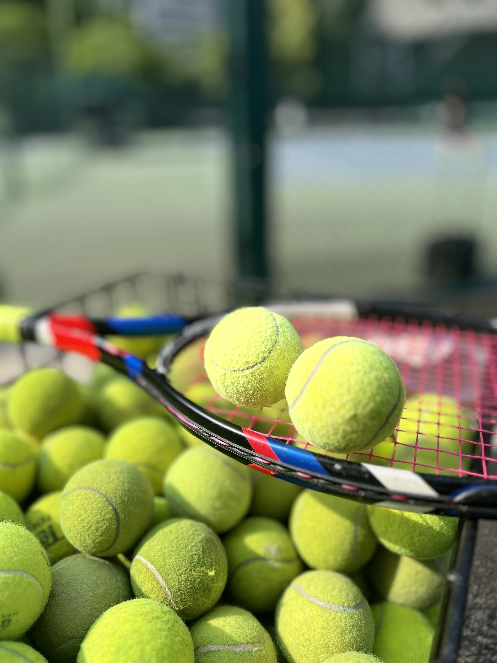 不乏一招制 不乏一招制