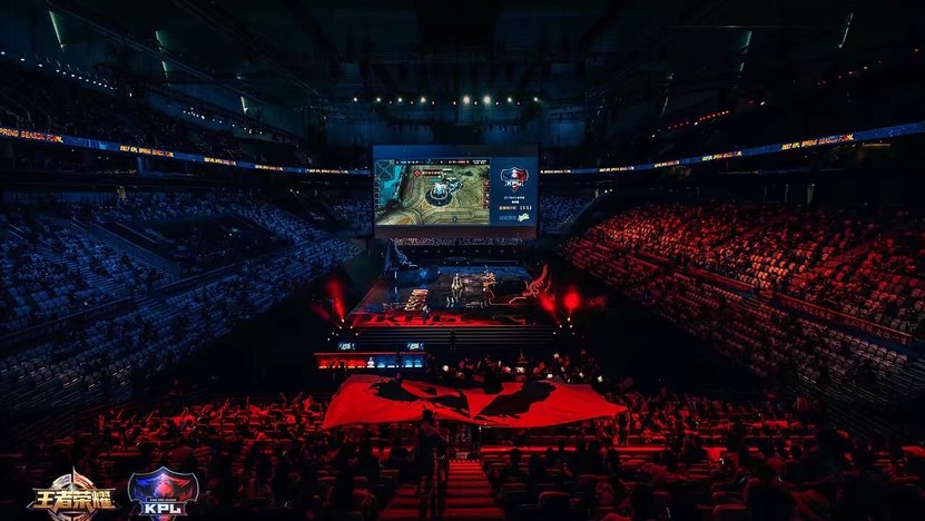 合同条款与 合同条款与